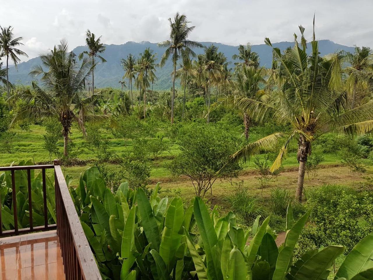 Buana Ecofarm Ecolodge Grokgak Exterior photo