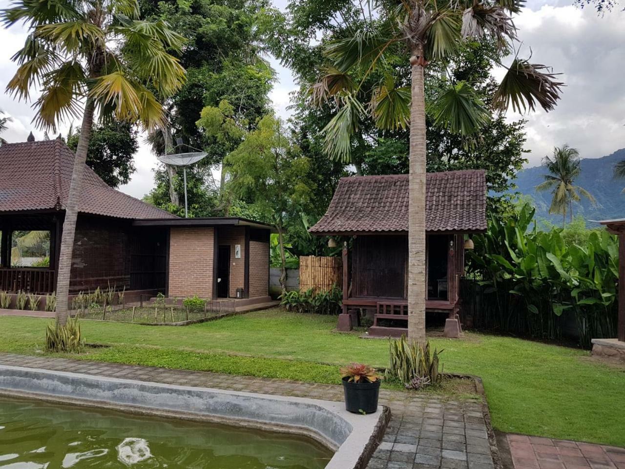 Buana Ecofarm Ecolodge Grokgak Exterior photo